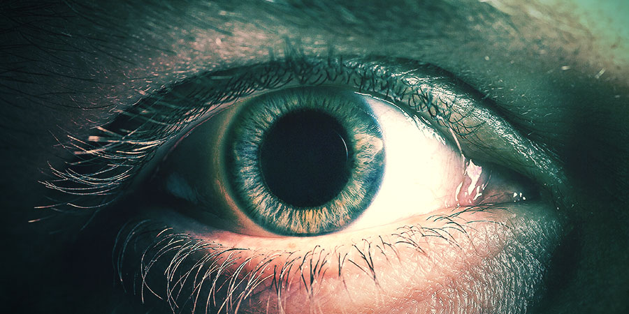 Améliorations Cognitives