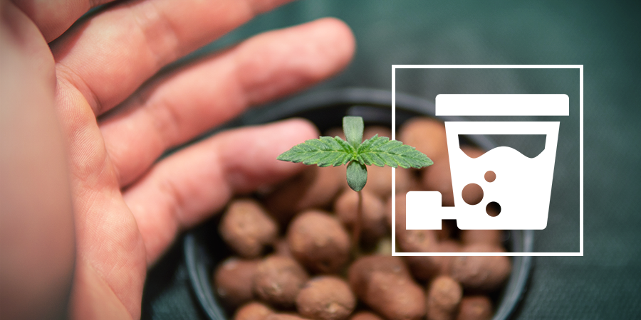 Comment Installer Votre Propre Culture DWC Comment Installer Votre Propre Culture DWC