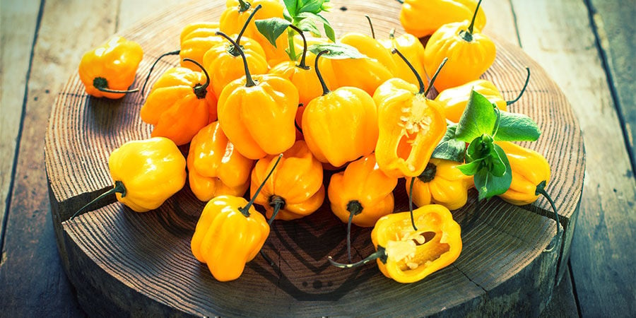 Piment Habanero