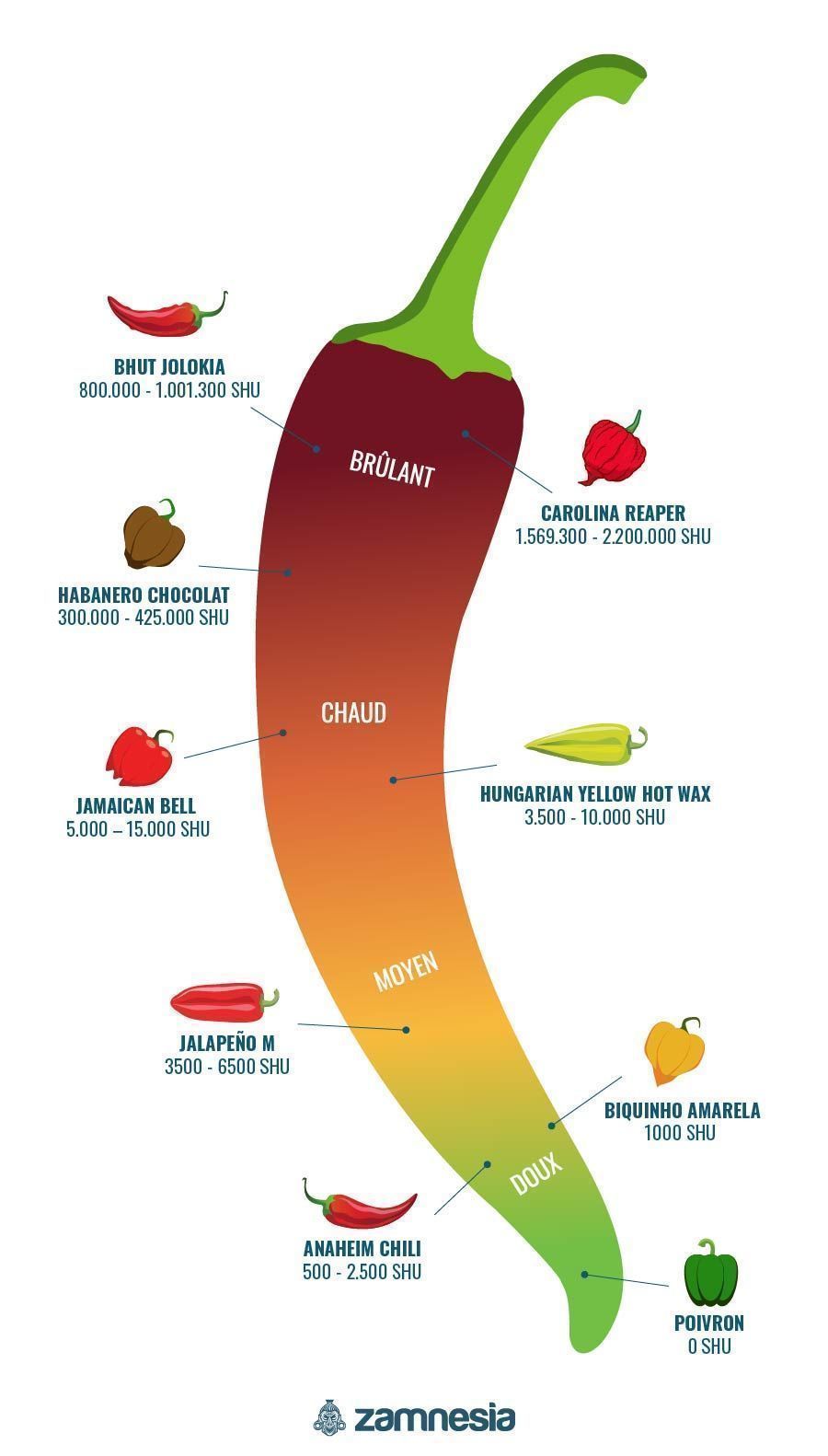 Les Piments Et L'Échelle De Scoville - Zamnesia