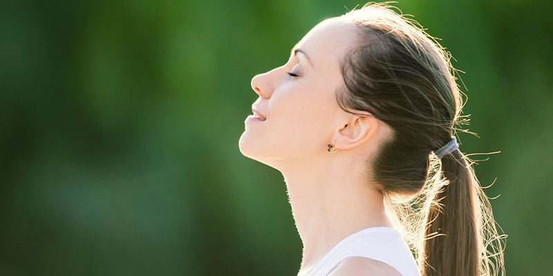À quoi sert le Ginkgo biloba ?