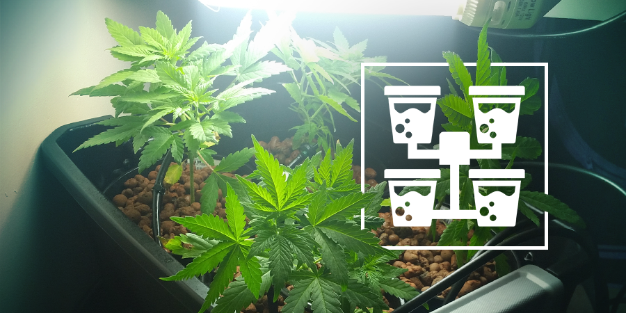 Installations Hydro Avancées Pour Cultivateurs Amateurs Installations Hydro Avancées Pour Cultivateurs Amateurs