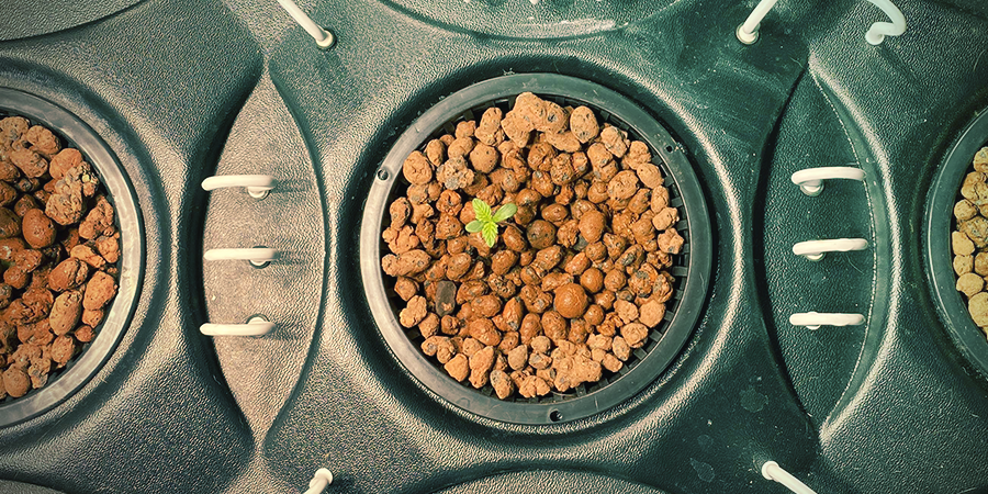 Avantages Et Inconvénients De La Culture Du Cannabis Hydro Avancée AVANTAGES ET INCONVÉNIENTS DE LA CULTURE DU CANNABIS HYDRO AVANCÉE