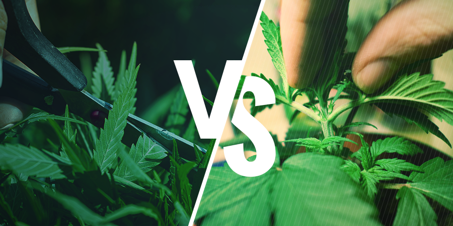 Ciseaux Vs Doigts Ciseaux Vs Doigts