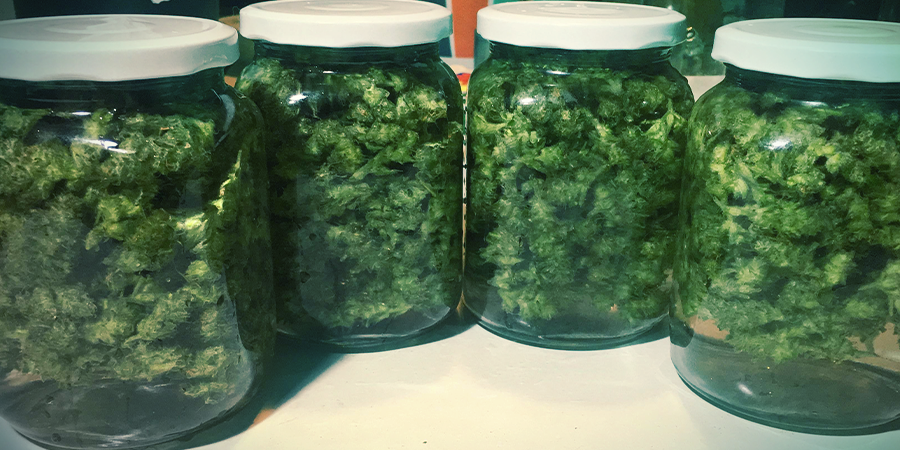 Water Curing Water Curing