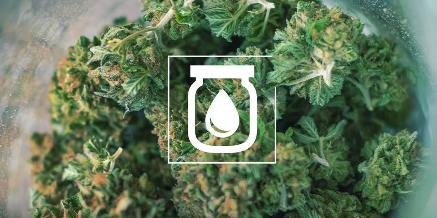 Water Curing Du Cannabis : C'est Quoi et Comment le Faire