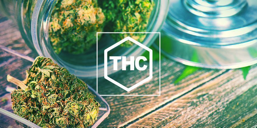 Quand A Été Découvert Le THC ?