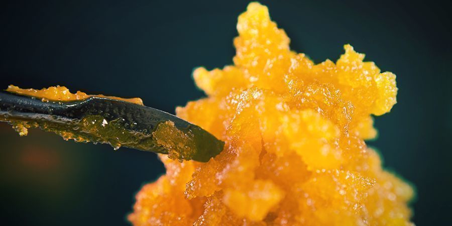 Comment Isoler Les Trichomes Et Produire Des Concentrés