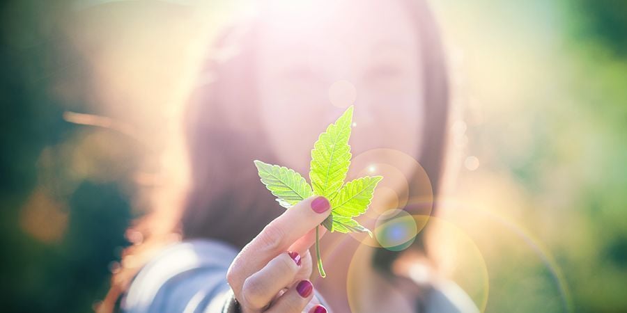 Passionnés du Cannabis