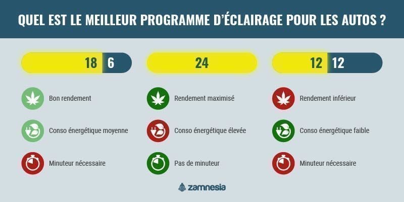 Quel Est Le Meilleur Programme D’éclairage Pour Les Autos ? infographie