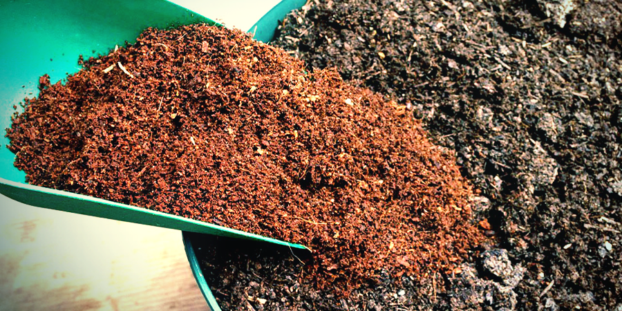 Comment Utiliser La Fibre De Coco Comme Substrat ? Comment Utiliser La Fibre De Coco Comme Substrat ?