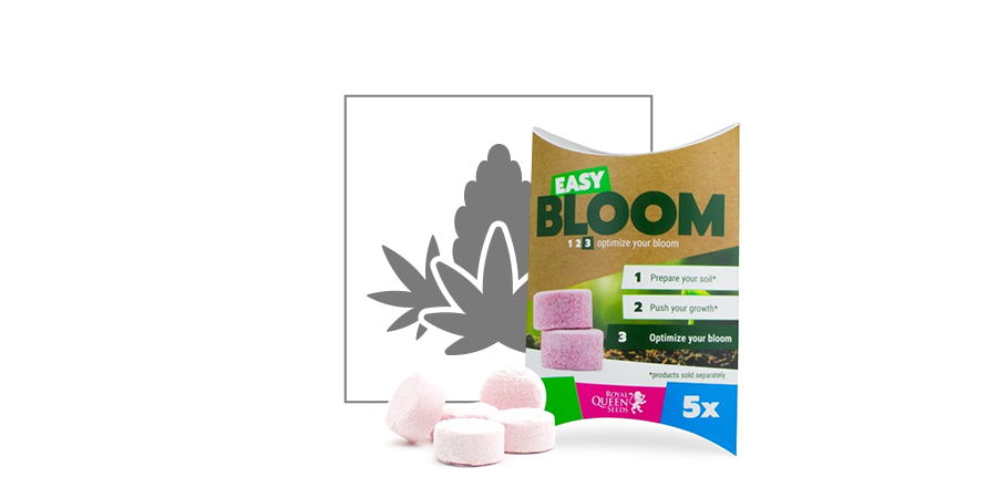 Easy Bloom Booster De Floraison