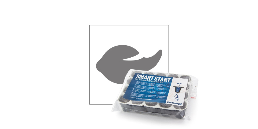 Germer Vos Graines De Cannabis Avec Le Smart Start Germer Vos Graines De Cannabis Avec Le Smart Start