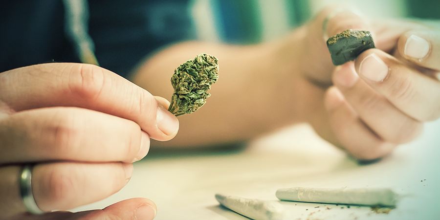 Récoltez Les Trichomes Pour Faire Du Hasch Skuff Récoltez Les Trichomes Pour Faire Du Hasch Skuff