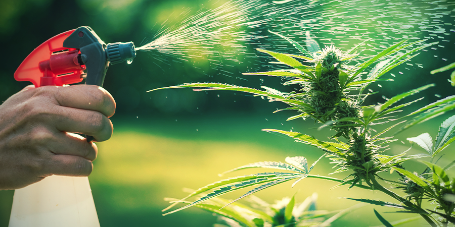 Comment Ajuster L’Humidité Comment Ajuster L’Humidité