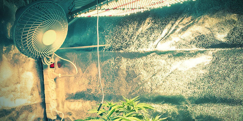 La ventilation dans les cultures de cannabis en intérieur - La Huerta Blog