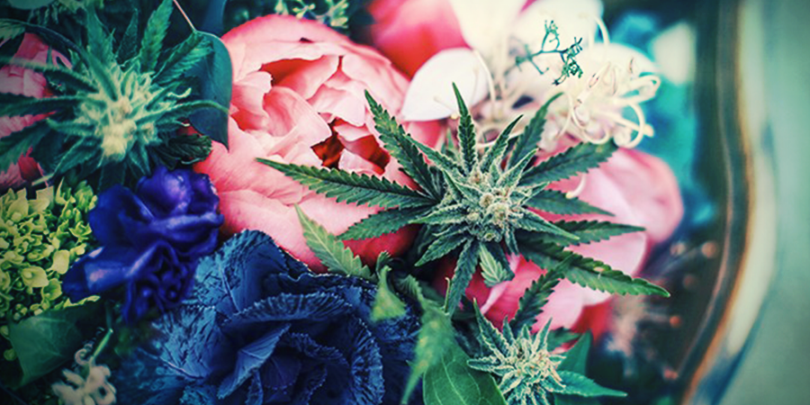 Trompez D'Autres Avec Des Fleurs "Faux" Trompez D'Autres Avec Des Fleurs "Faux"