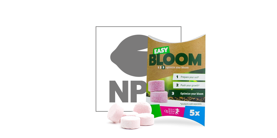 Easy Bloom Booster De Floraison