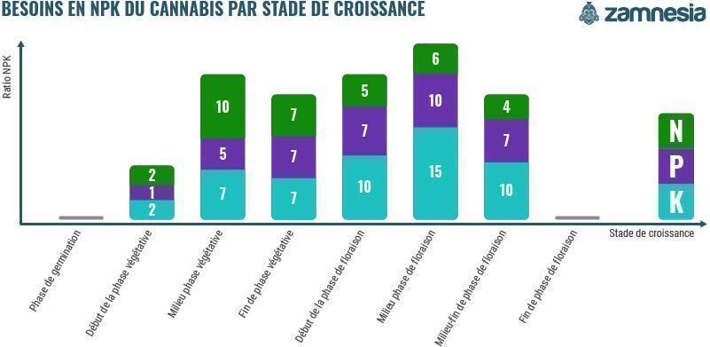 Besoins En NPK Du Cannabis Par Stade De Croissance