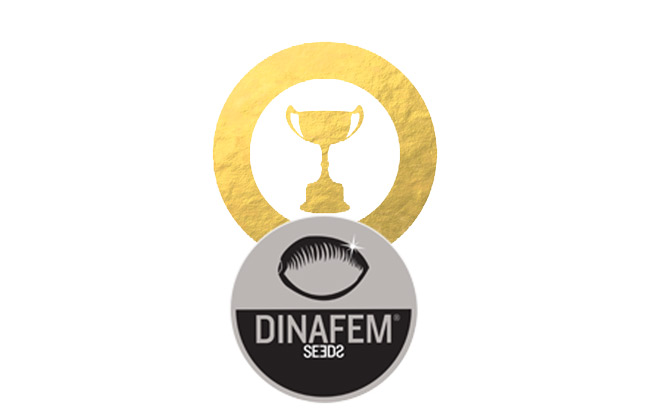 Récompenses de Dinafem Récompenses de Dinafem
