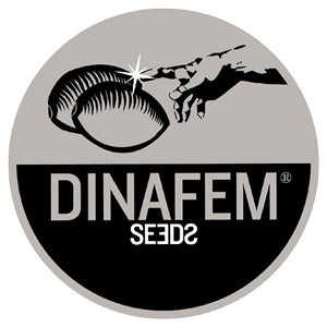 Dinafem logo Dinafem logo