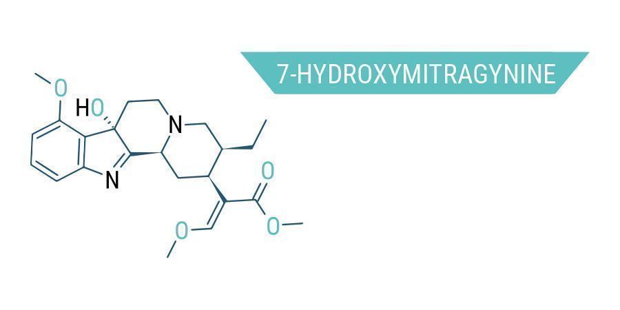 Les Nombreux Composés Chimiques Du Kratom: 7-Hydroxymitragynine