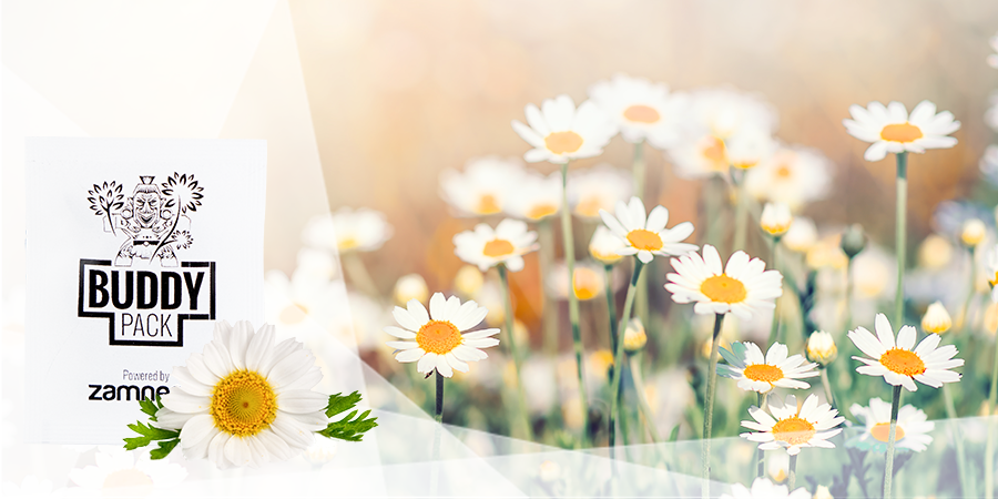 Attirer Les Insectes Bénéfiques