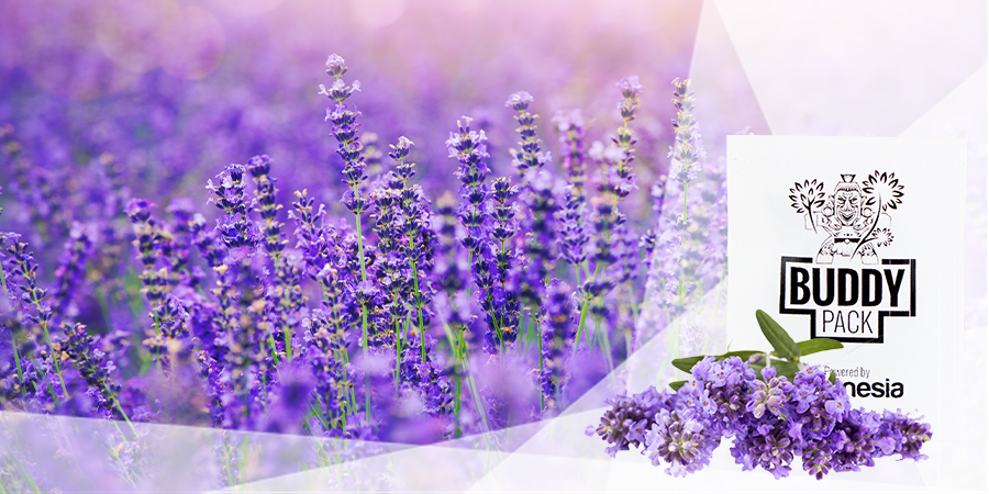 Repousser Les Insectes Nuisibles