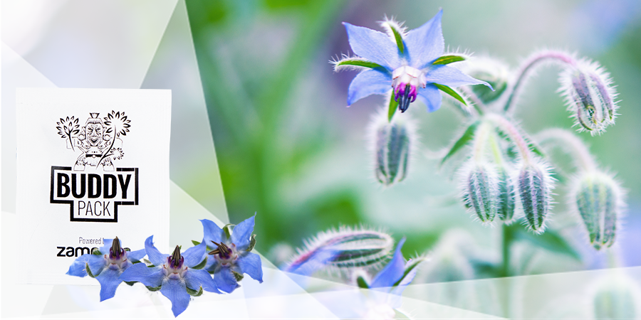 Apporter Des Nutriments Et Améliorer La Structure Du Sol