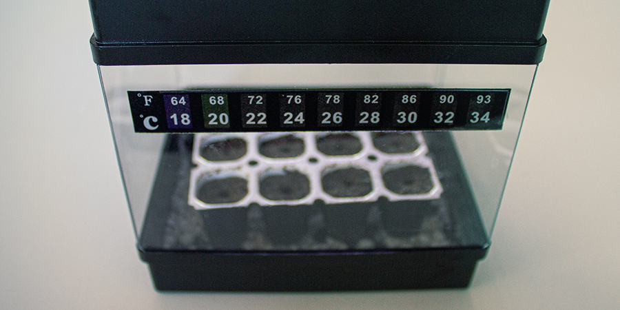 Propagator Pro 2  - CANNABIS
