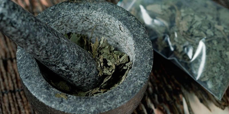 Méthodes Des Amérindiens Mazatèques Méthodes Des Amérindiens Mazatèques