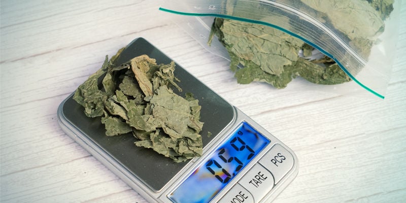 Quid De Salvia QUID DE SALVIA