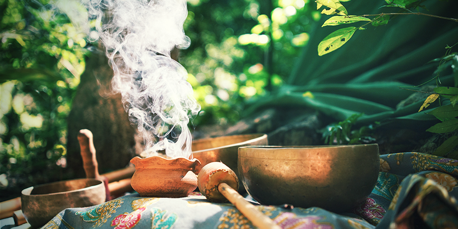 L’histoire De La Salvia Divinorum L’histoire De La Salvia Divinorum