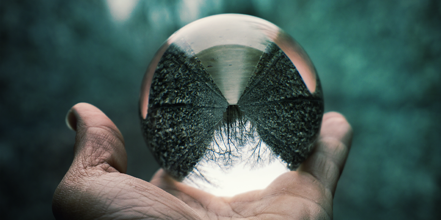 Quels Sont Les Effets De La Salvia Divinorum ? Quels Sont Les Effets De La Salvia Divinorum ?