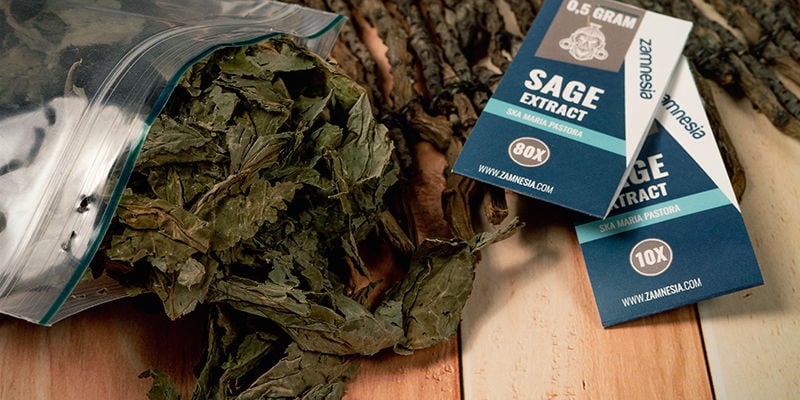 Quels Sont Les Types De Salvia Dispoinbles ? Quels Sont Les Types De Salvia Dispoinbles ?