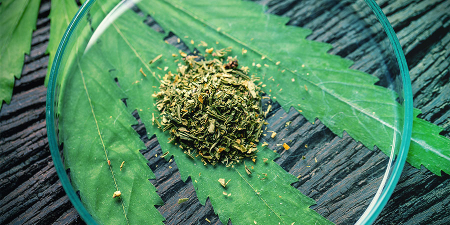 LES DIFFÉRENTS TYPES DE KRATOM