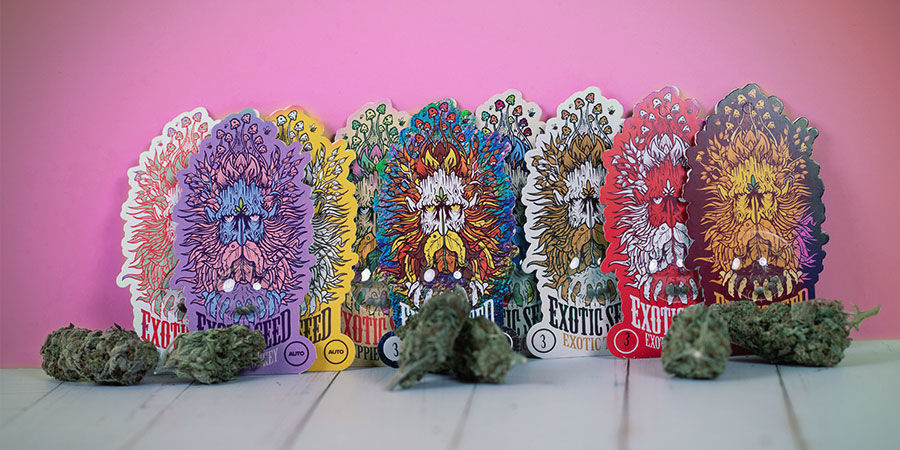 Variétés Récompensées D’Exotic Seed Variétés Récompensées Exotic Seed