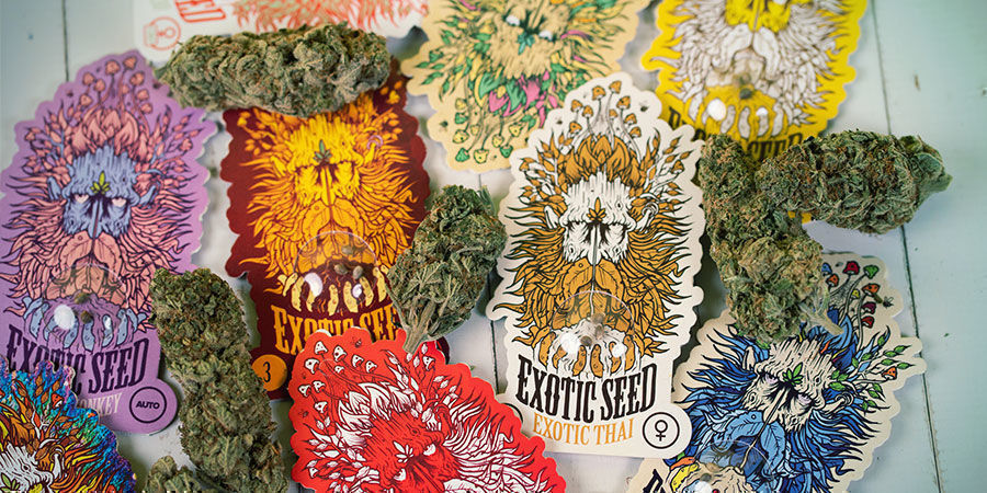 Comment Sont Emballées Les Graines D’Exotic Seed ? Emballage Graines Exotic Seed