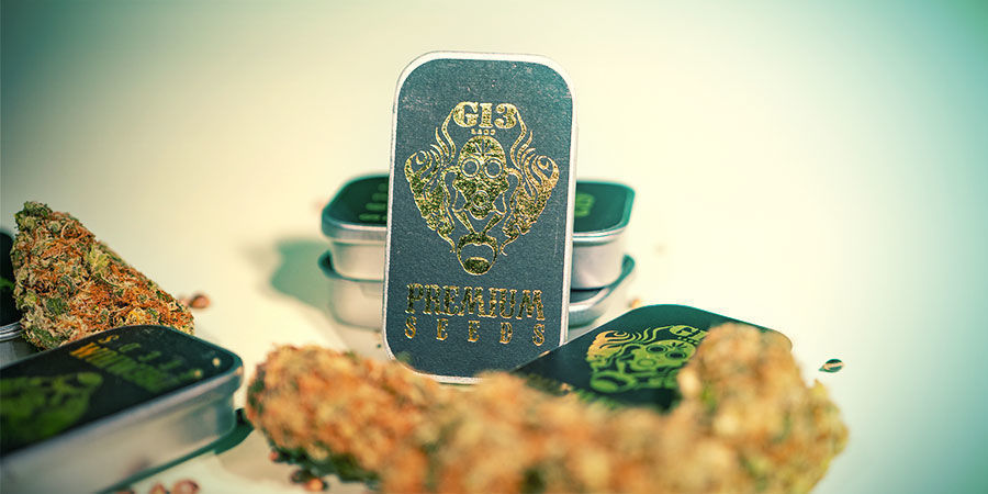 3 meilleures variétés G13 Labs