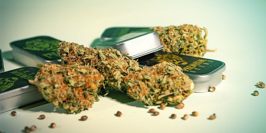 Qu’est-ce qui différencie G13 Labs ?