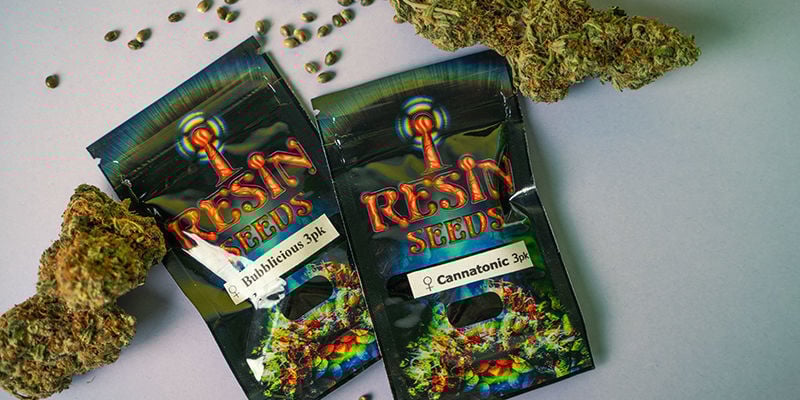 Comment Sont Emballées Les Graines De Cannabis De Resin Seeds ? Emballage de Resin Seeds