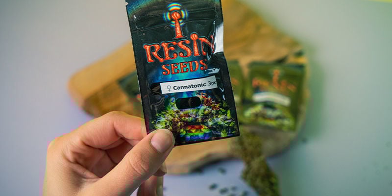 Resin Seeds: Fondateurs Du Mouvement CBD Resin Seeds: Fondateurs Mouvement CBD