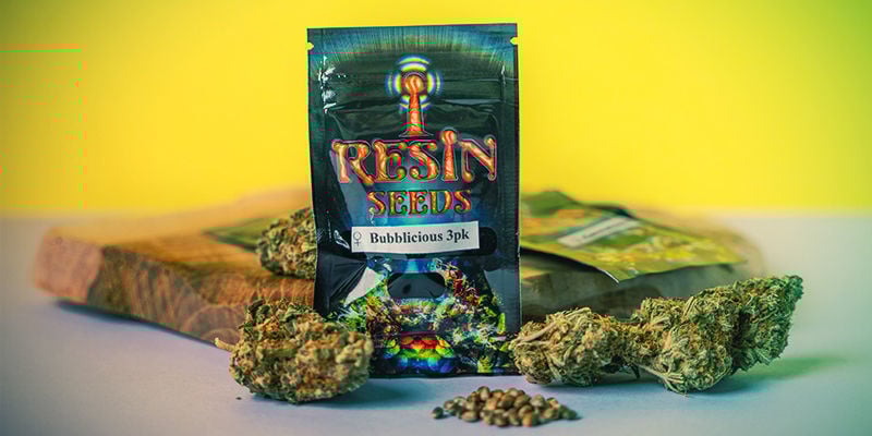 Qu’Est-Ce Qui Rend Resin Seed Si Spécial ? Qu’Est-Ce Qui Rend Resin Seed Si Spécial ?