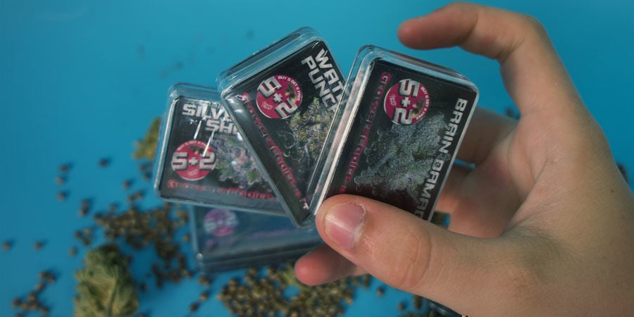 Growers Choice : Faites De Ces Graines Votre Choix Growers Choice : Graines Votre Choix