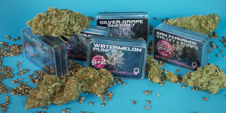 Qui Est Growers Choice ? Qui Est Growers Choice ?