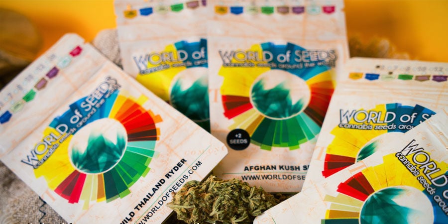 Qui Sont World Of Seeds ? Qui Sont World Of Seeds ?