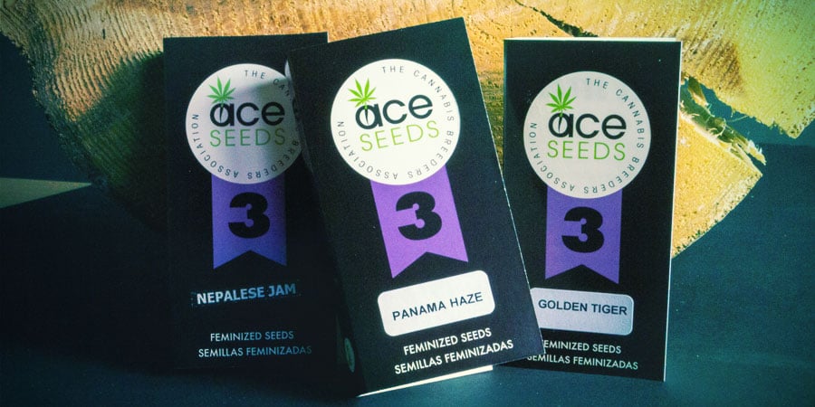 Emballage A.C.E. Seeds Emballage A.C.E. Seeds