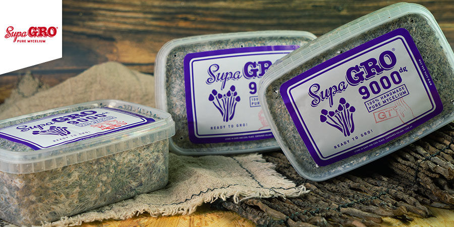 Kits De Culture Supa Gro Kits De Culture De Champignons Magiques Supa Gro