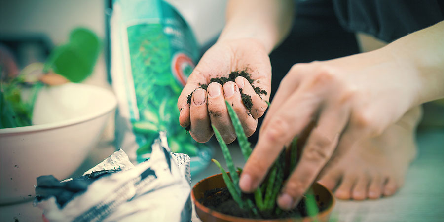 LE MÉLANGE POUR LA TERRE