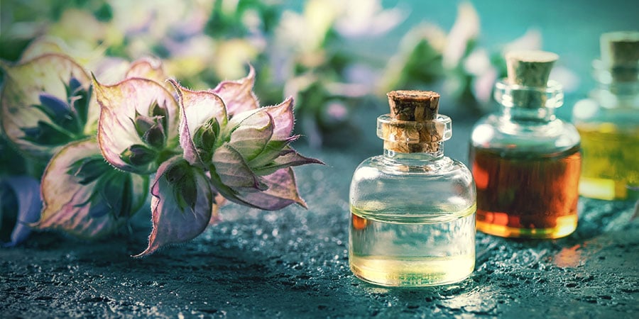 Qu'Est-ce Que Les Herbes À Rêves ? QU'EST-CE QUE LES HERBES À RÊVES ?